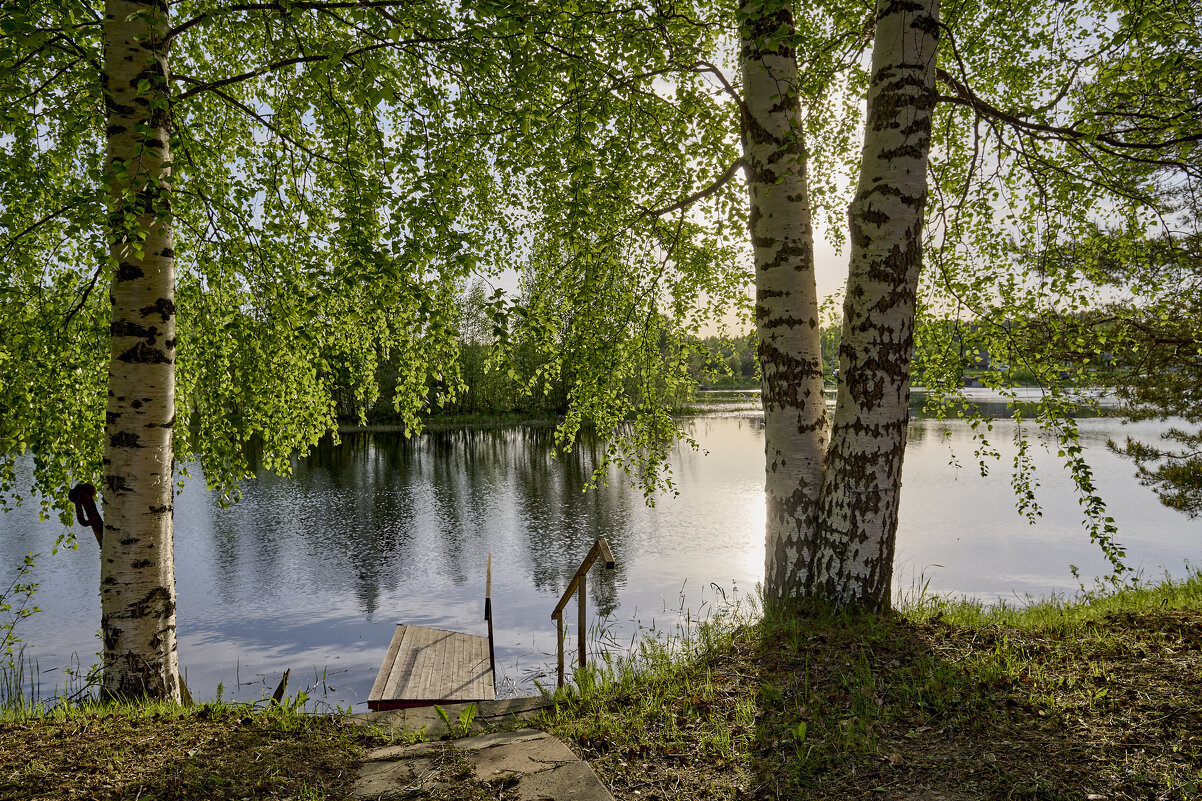 В тени березок - Борис Устюжанин В тени березок - Борис Устюжанин