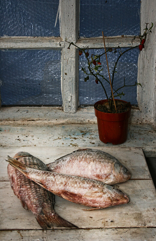 Мороженая рыба - Наталья S