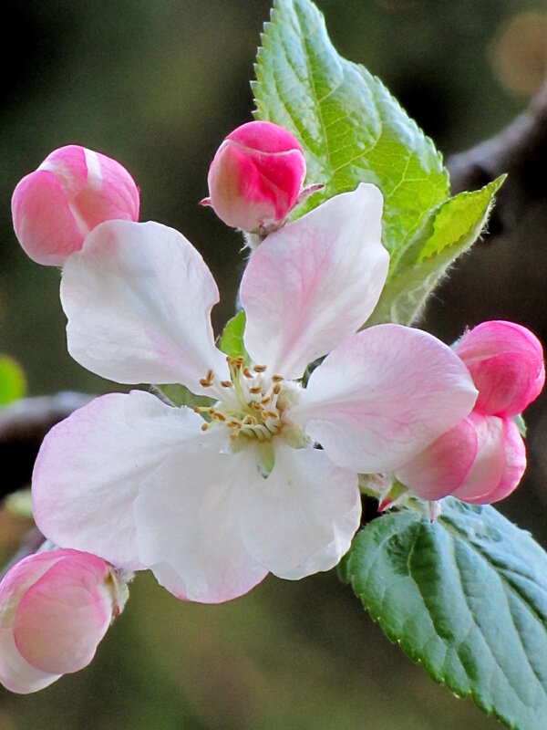 После дождичка - Валерий 