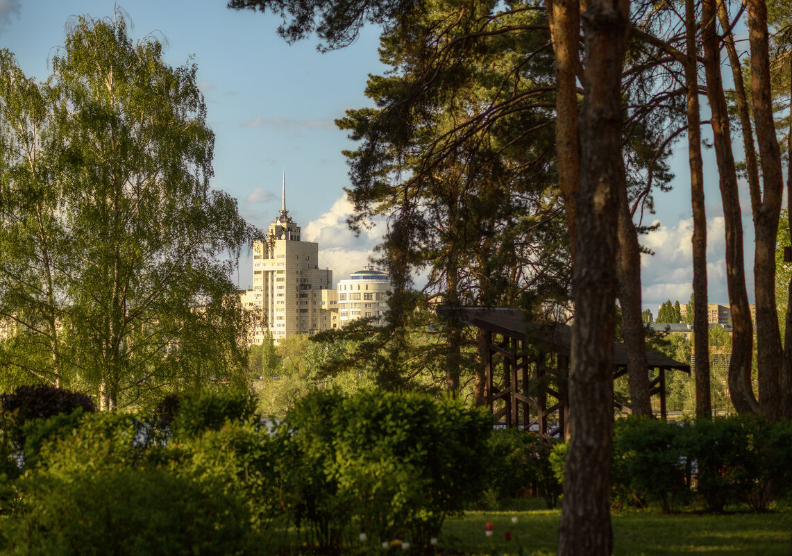 Прогулка по весеннему парку - Валерий VRN