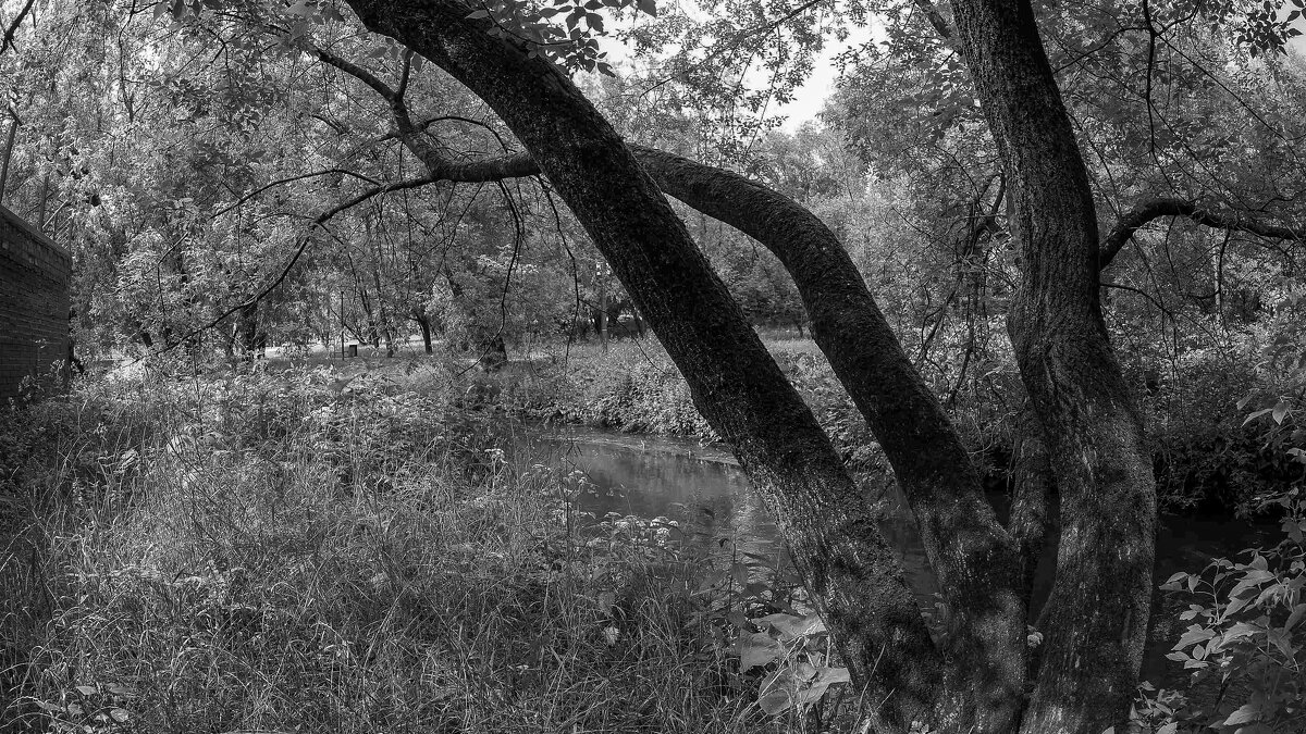 ***** - юрий поляков