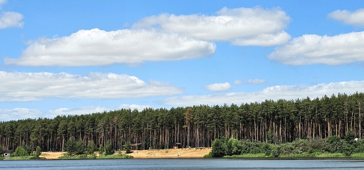 ЯрБайкал - Михаил Свиденцов