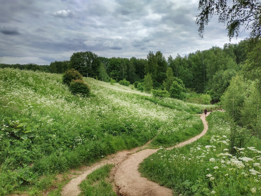 июньское цветение трав - Валентина. .