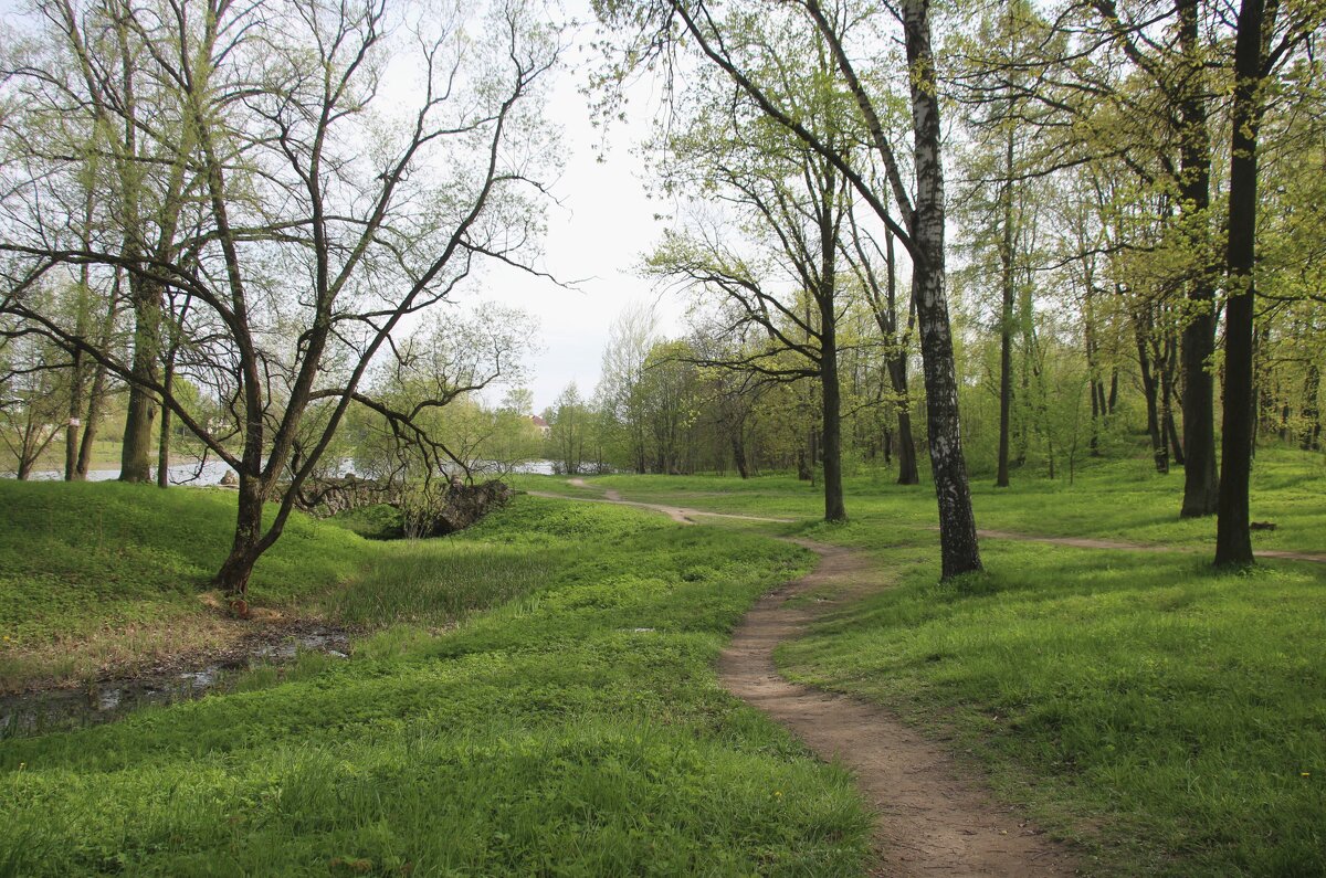 Стрельна. Орловский парк - Наталья Герасимова Стрельна. Орловский парк - Наталья Герасимова