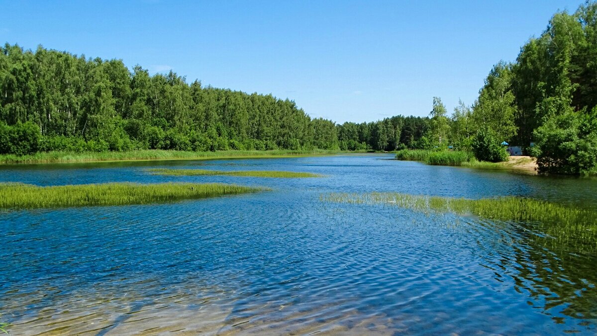 Наше лето (репортаж из поездок по области). - Милешкин Владимир Алексеевич 