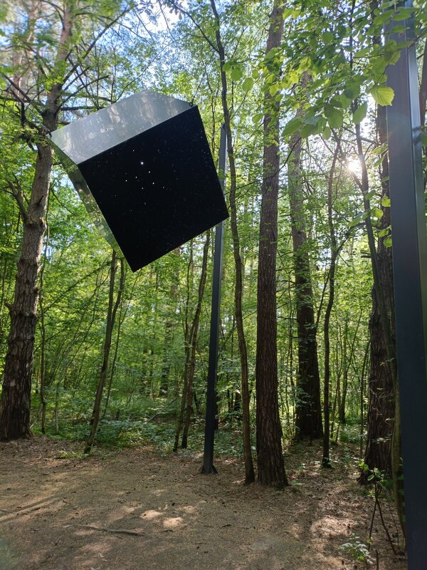 "Куб космоса" Леонида Тишкова - Галина R... "Куб космоса" Леонида Тишкова - Галина R...