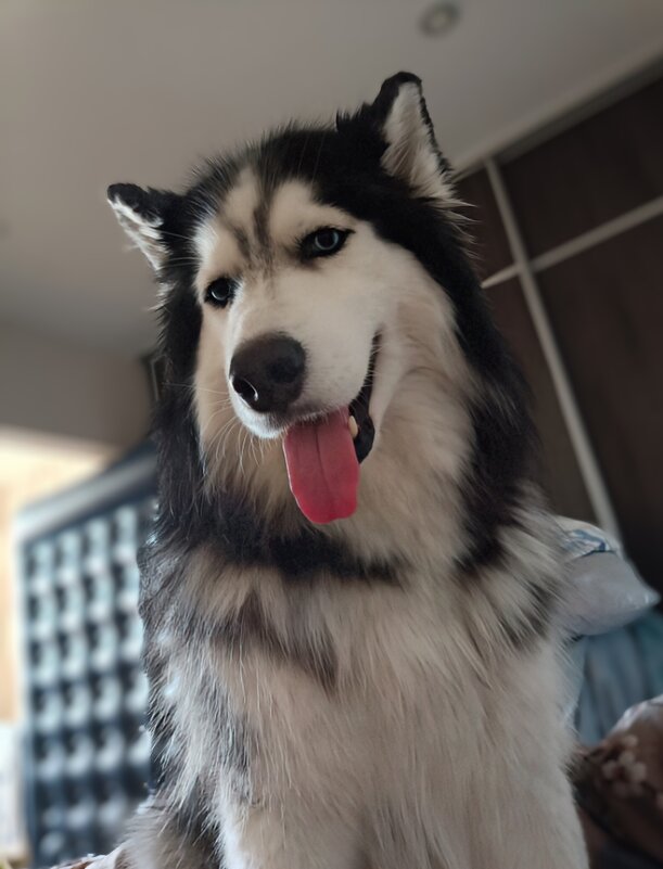 Я вам очень рад... Я, Таир! - Ирина *