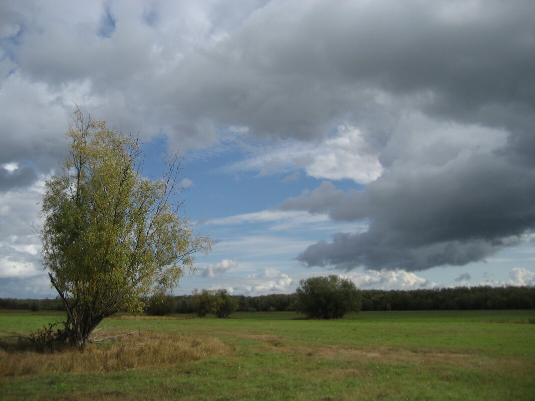 Небо августа - Anna Ivanova Небо августа - Anna Ivanova