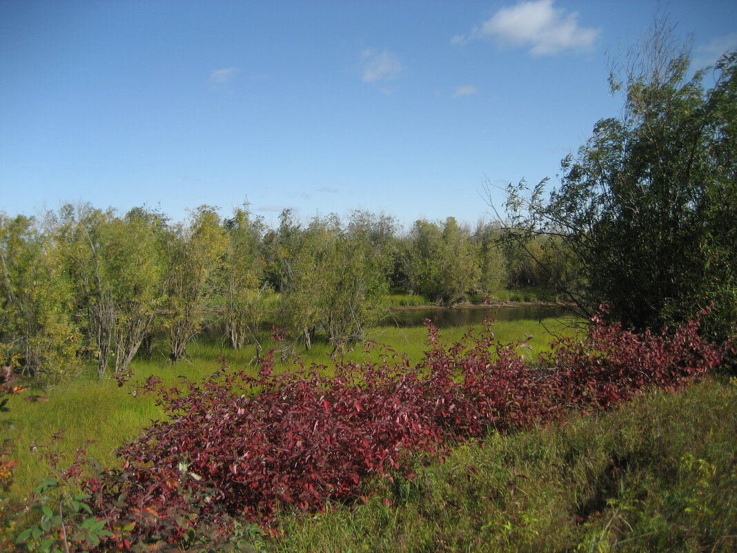 Август - Anna Ivanova Август - Anna Ivanova