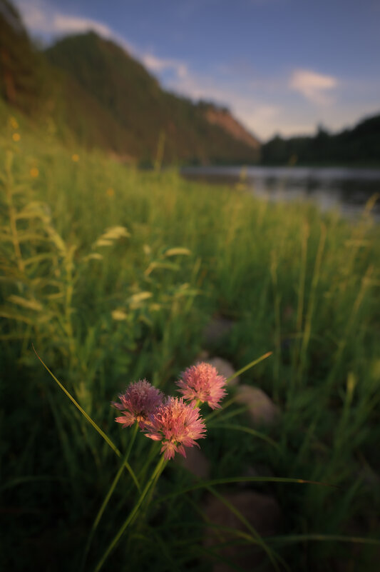 * - Александр Иванов