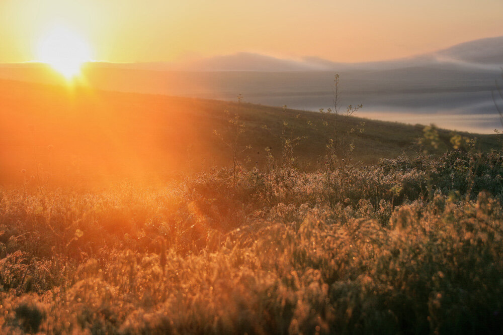 Утро в росе... - Галина Ильясова Утро в росе... - Галина Ильясова