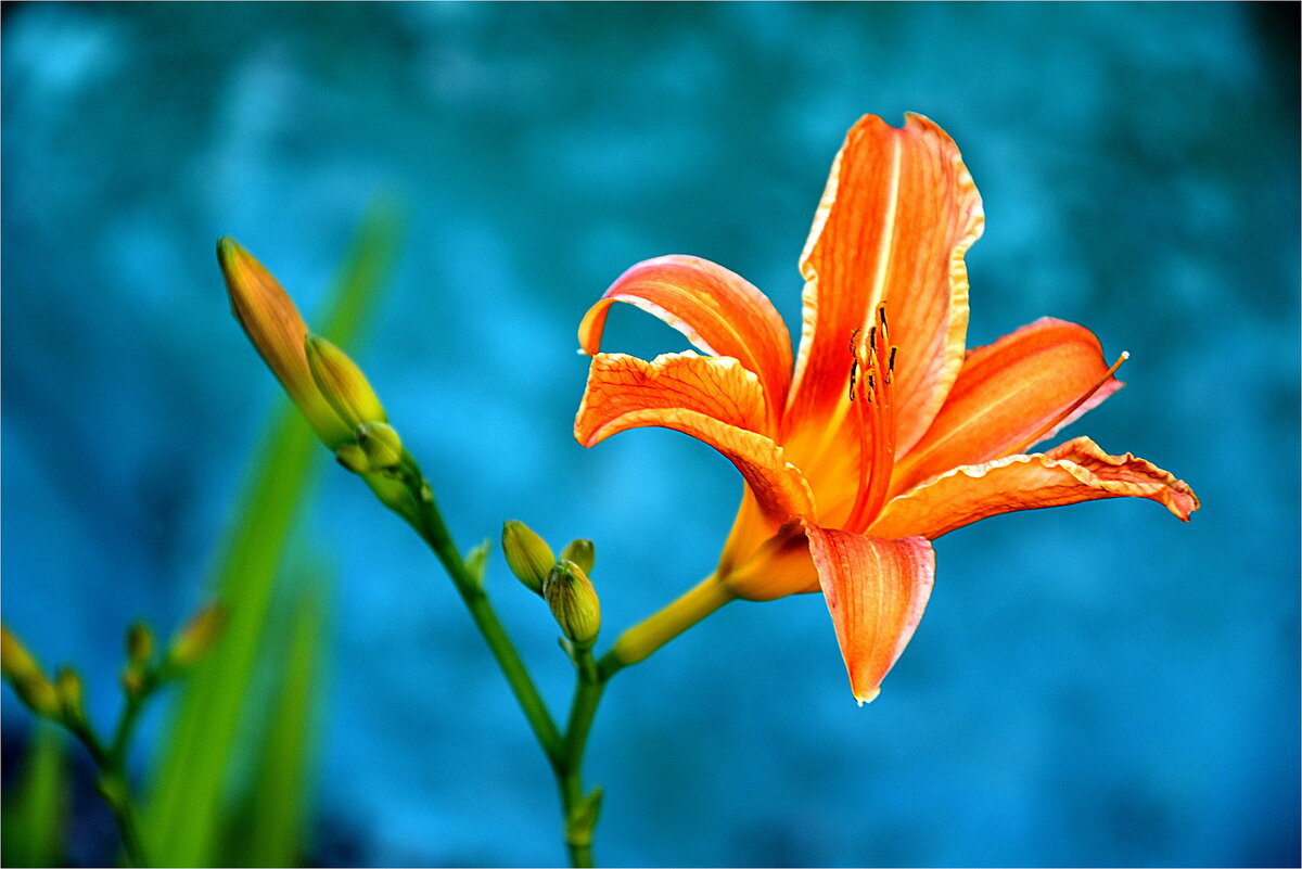 ЛЕТО - Юрий Владимирович 34