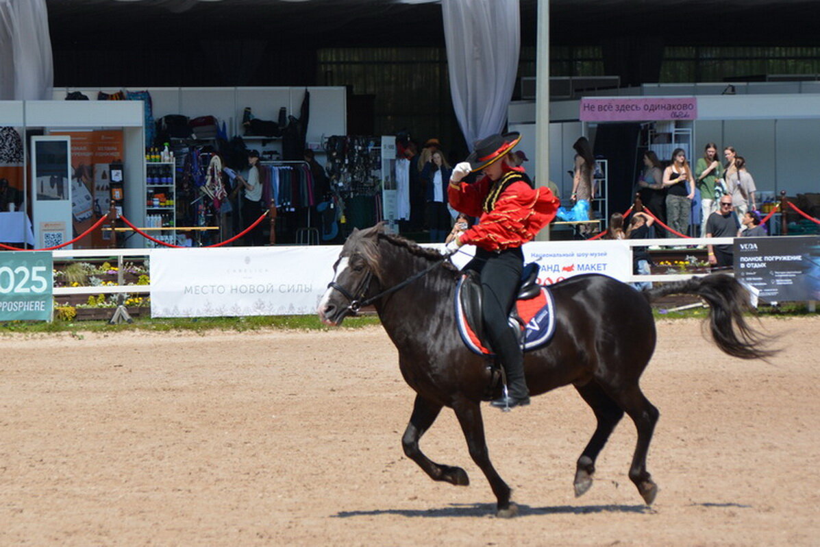 Международная конная выставка "Иппосфера" 2025 - Николай 