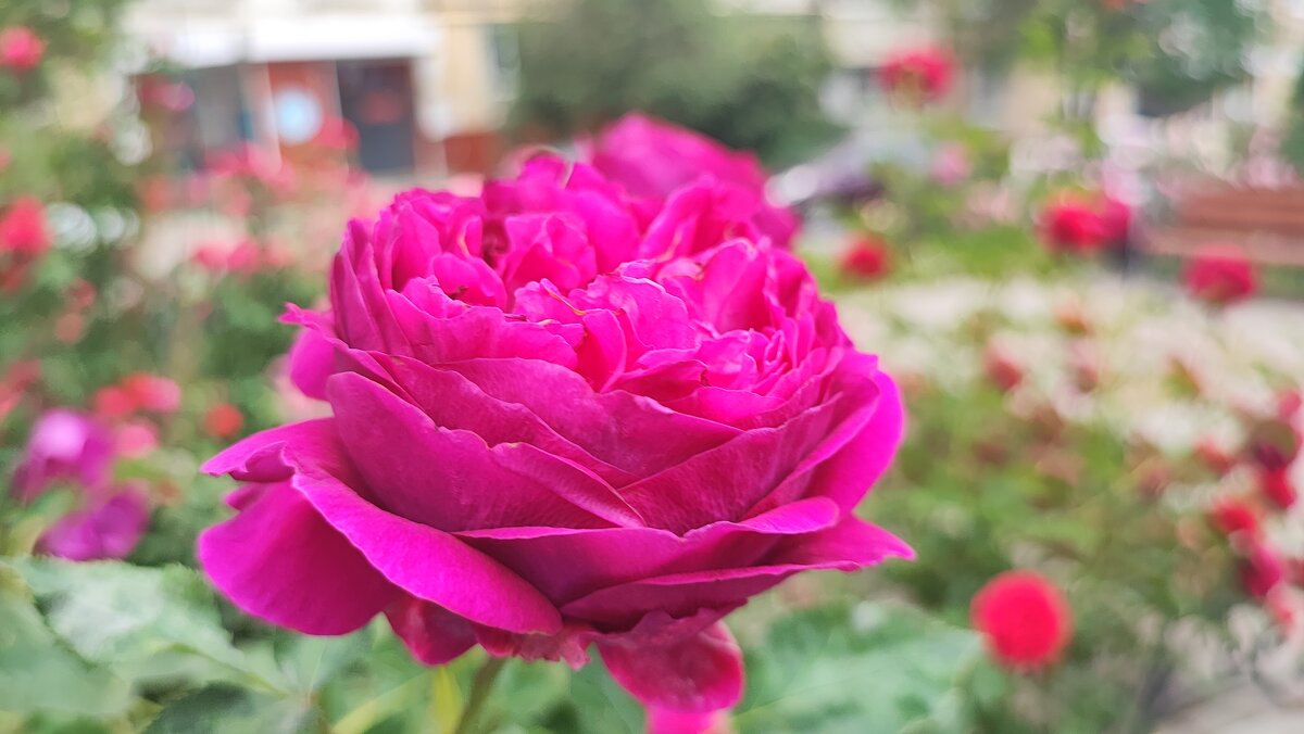 ,,, - Сергей Тимоновский