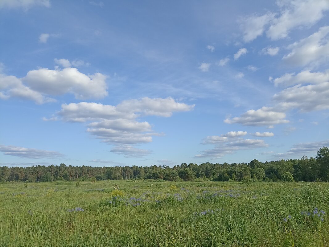 Летний день - Pippa 