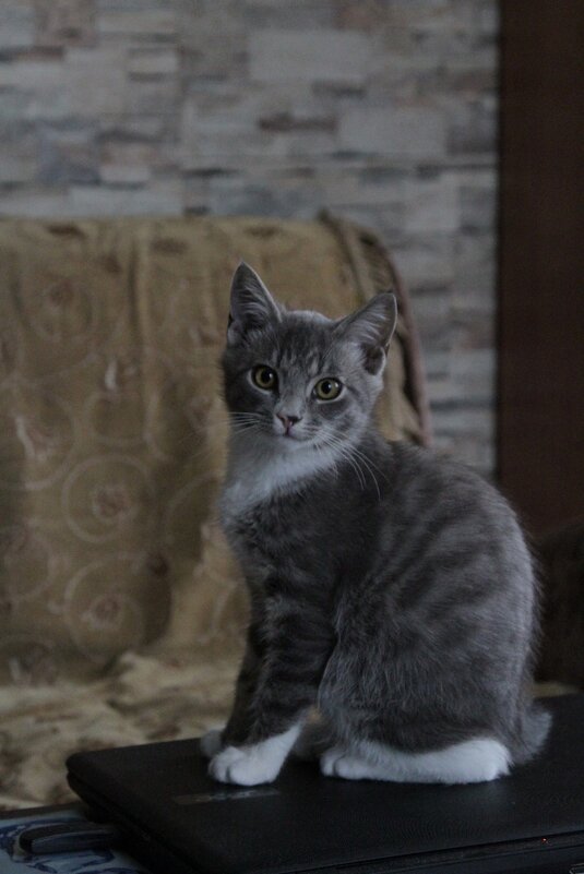 Михушка - Cергей Кочнев Михушка - Cергей Кочнев