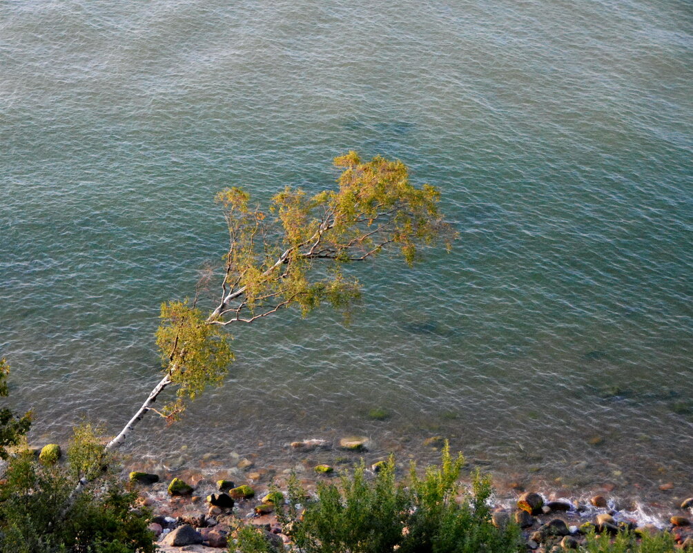 ... - Анастасия Смирнова