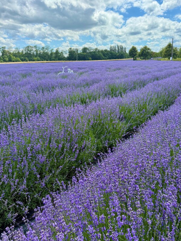 я буду долго гнать велосипед ) - Сергей Б.