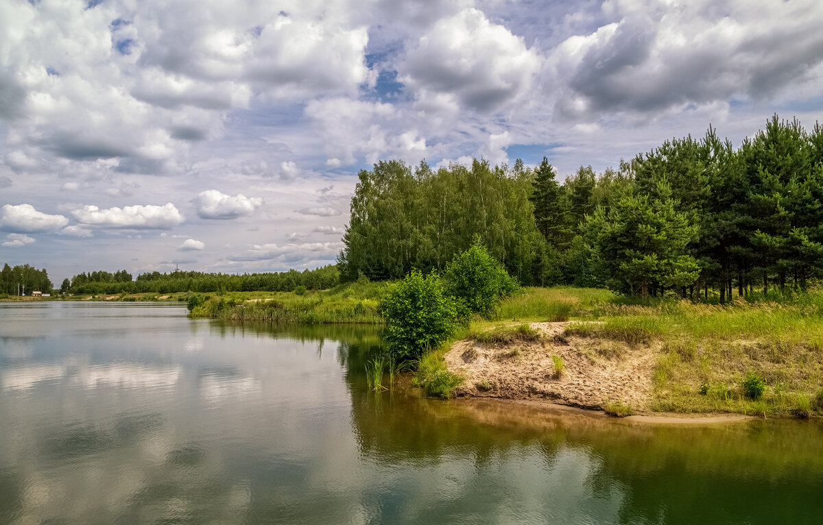 Подмосковный июнь 7 - Андрей Дворников