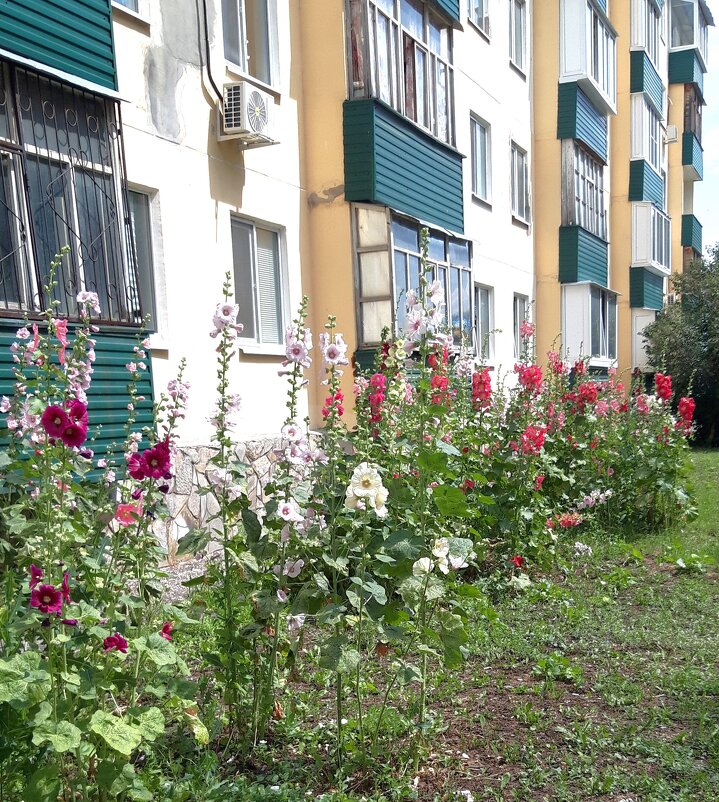 Мой город. - Венера Чуйкова Мой город. - Венера Чуйкова