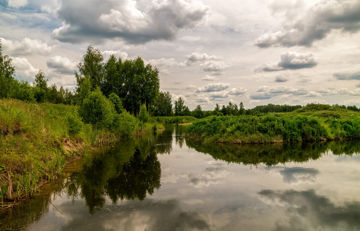 Подмосковный июнь 8 - Андрей Дворников