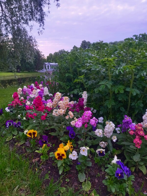 Лето - Сапсан 