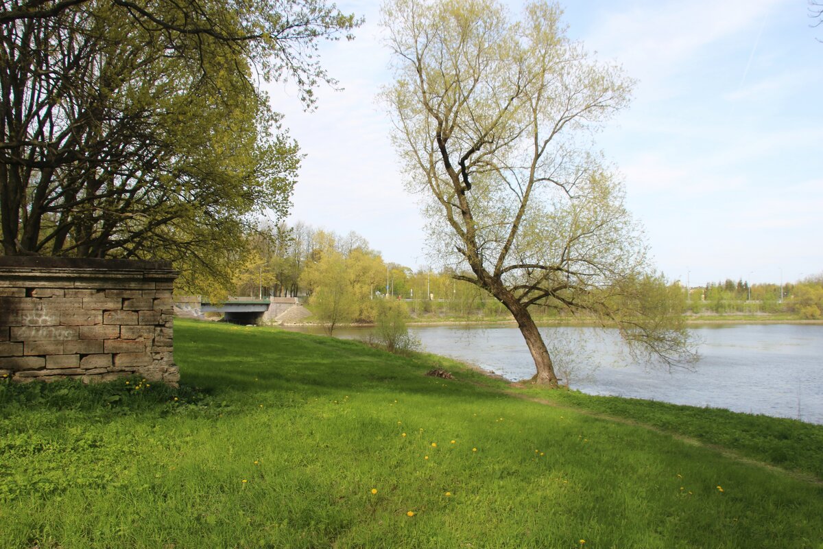 Стрельна. Орловский парк - Наталья Герасимова