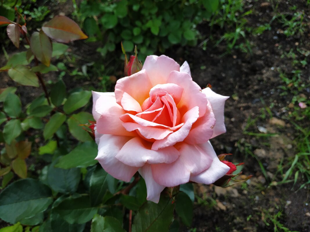 * * * - Андрей Лукьянов