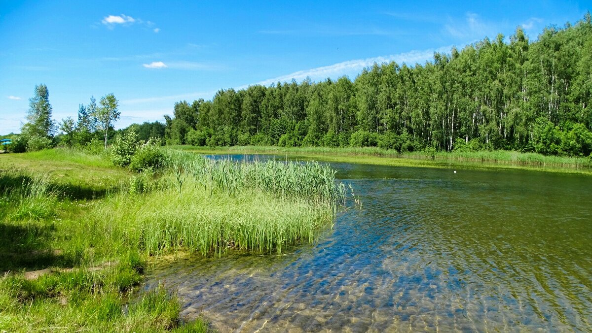 Наше лето. - Милешкин Владимир Алексеевич Наше лето. - Милешкин Владимир Алексеевич