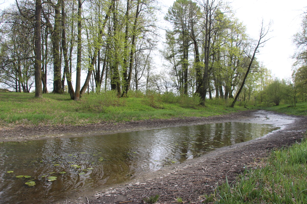 Стрельна. Орловский парк - Наталья Герасимова
