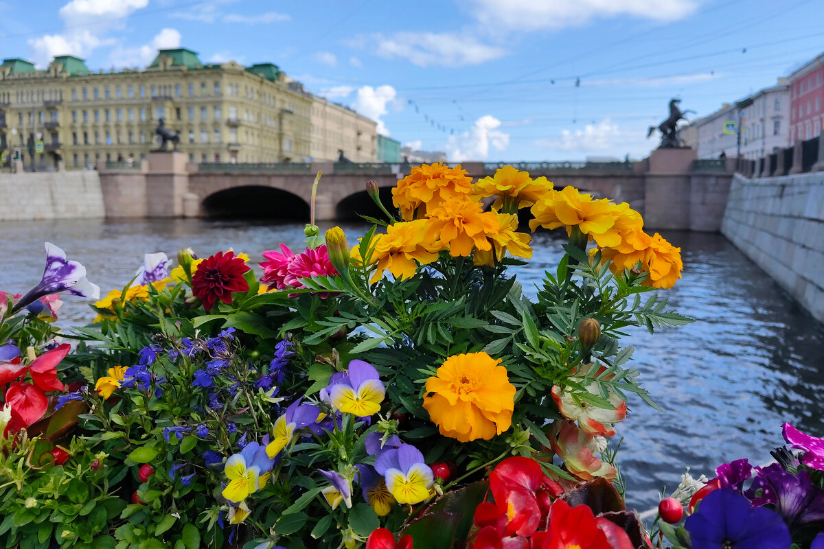 Цветы и видом..) - tipchik 