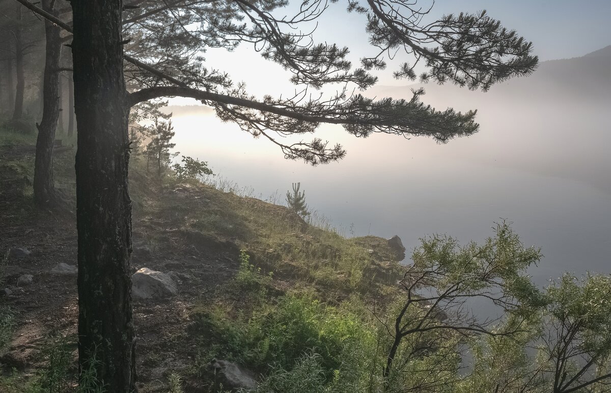 Туманный Енисей - Марина Фомина.