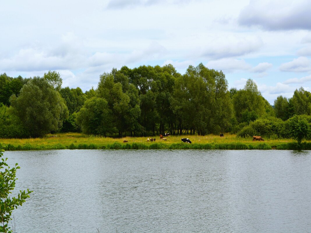 Ядрин. Вид на южный берег озера Сергач. - Пётр Чернега