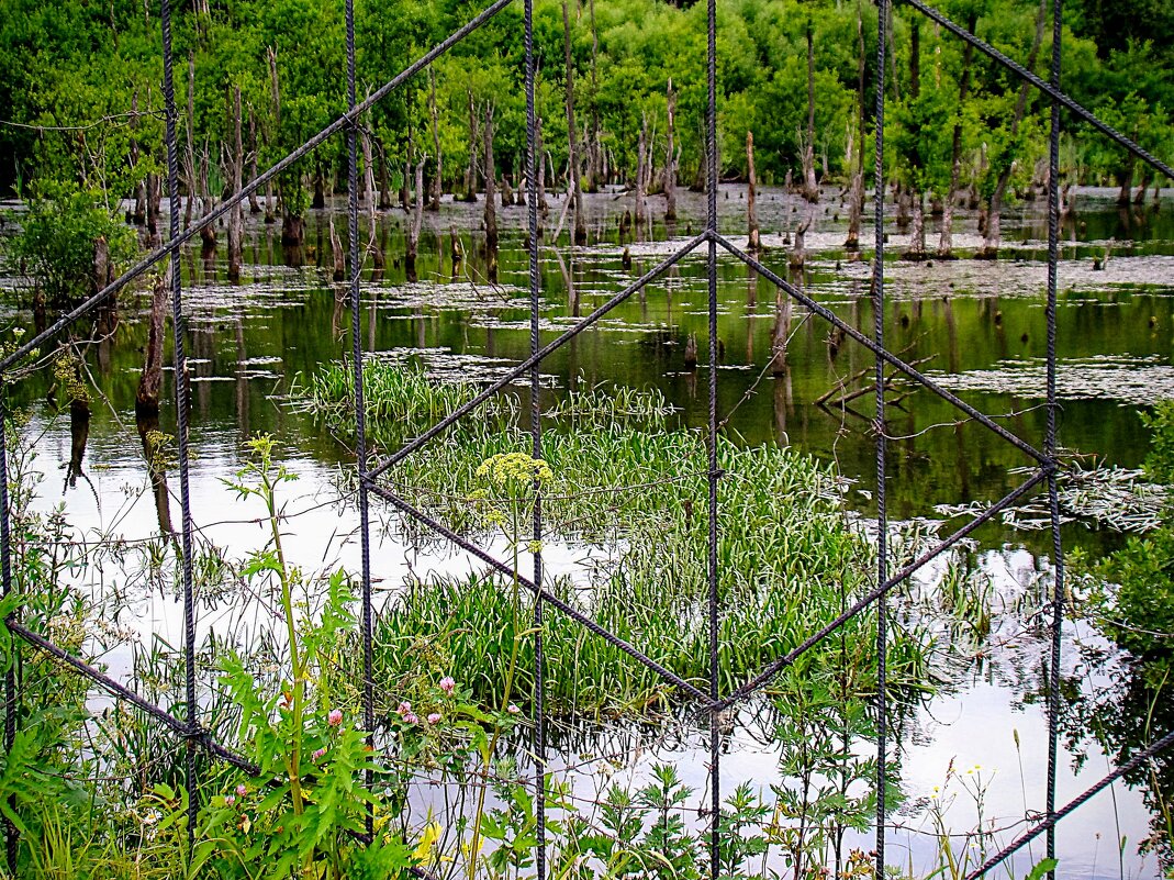 Усадьба , которой восторгалась Екатерина II ,,,, - Анатолий Колосов