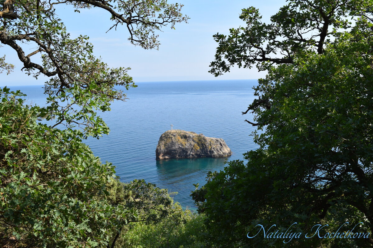 Природа Крыма - Amazing Cosmea