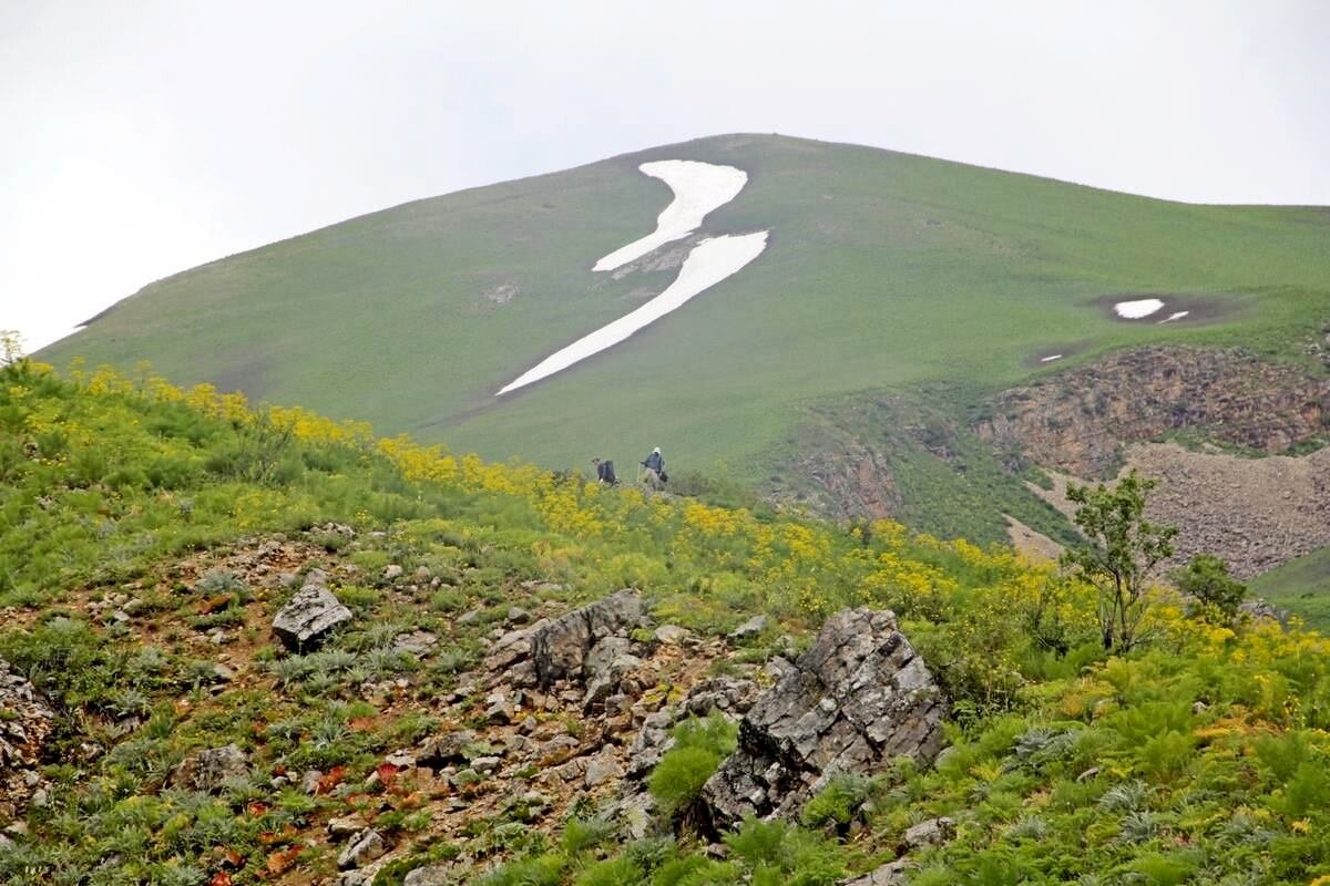ПО ГОРАМ - Виктор Осипчук