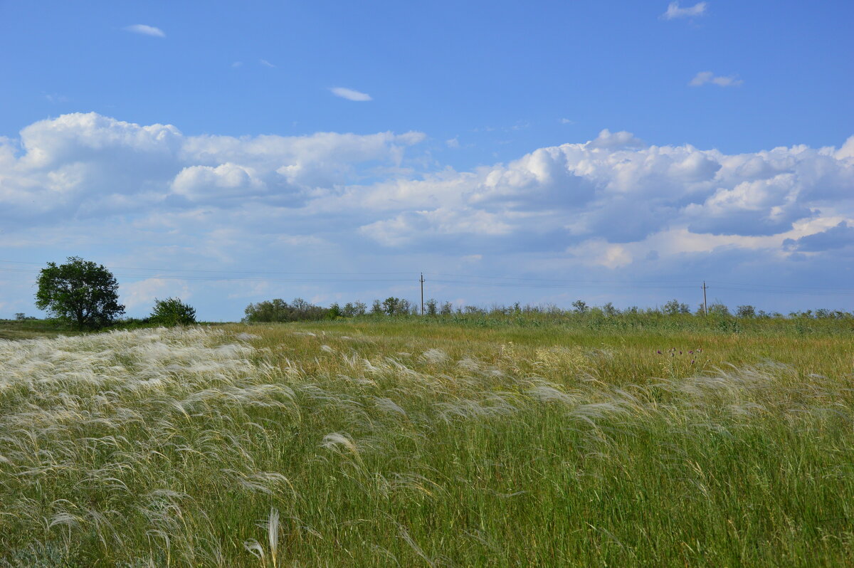 В стени. - Виктор 