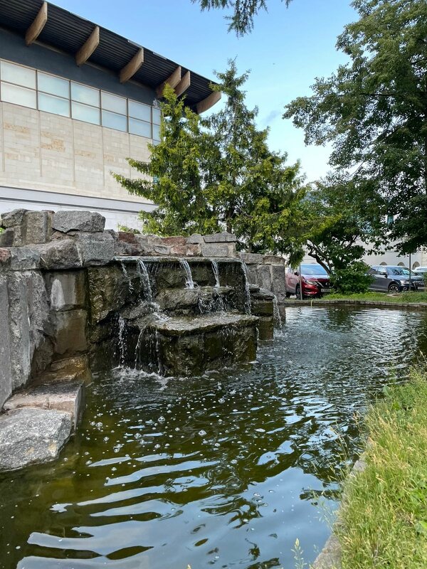 *  *  * - Елена 