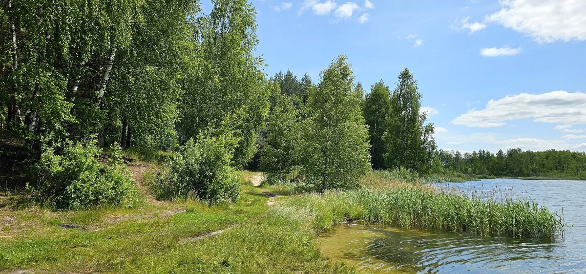 ЯрБайкал - Михаил Свиденцов