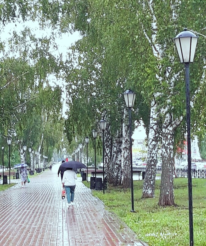 Июнь. - Венера Чуйкова