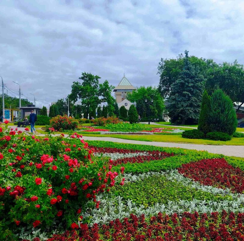 Цветочные ковры - Галина Бобкина