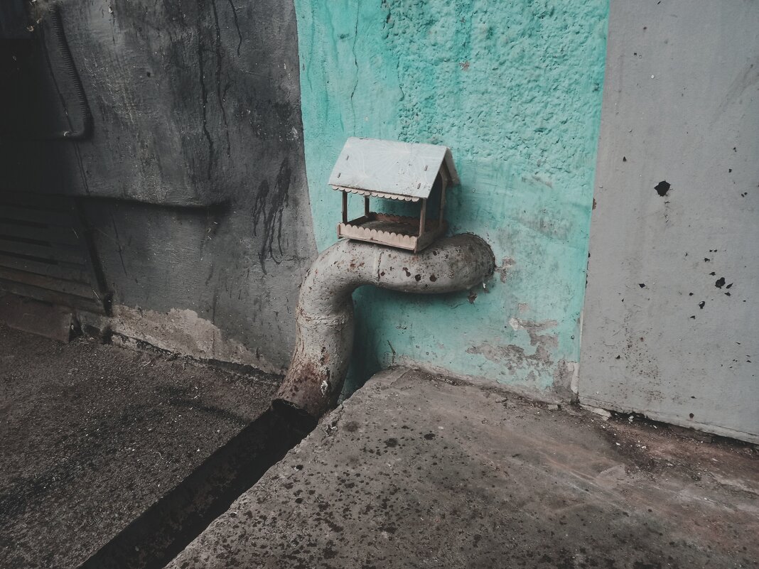 Скворечник с водопадом. - Игорь Солдаткин