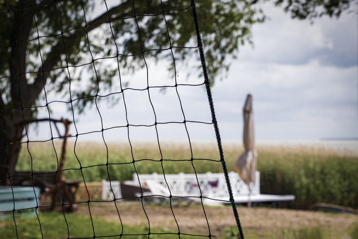 Сезон не задался... - Sergey 