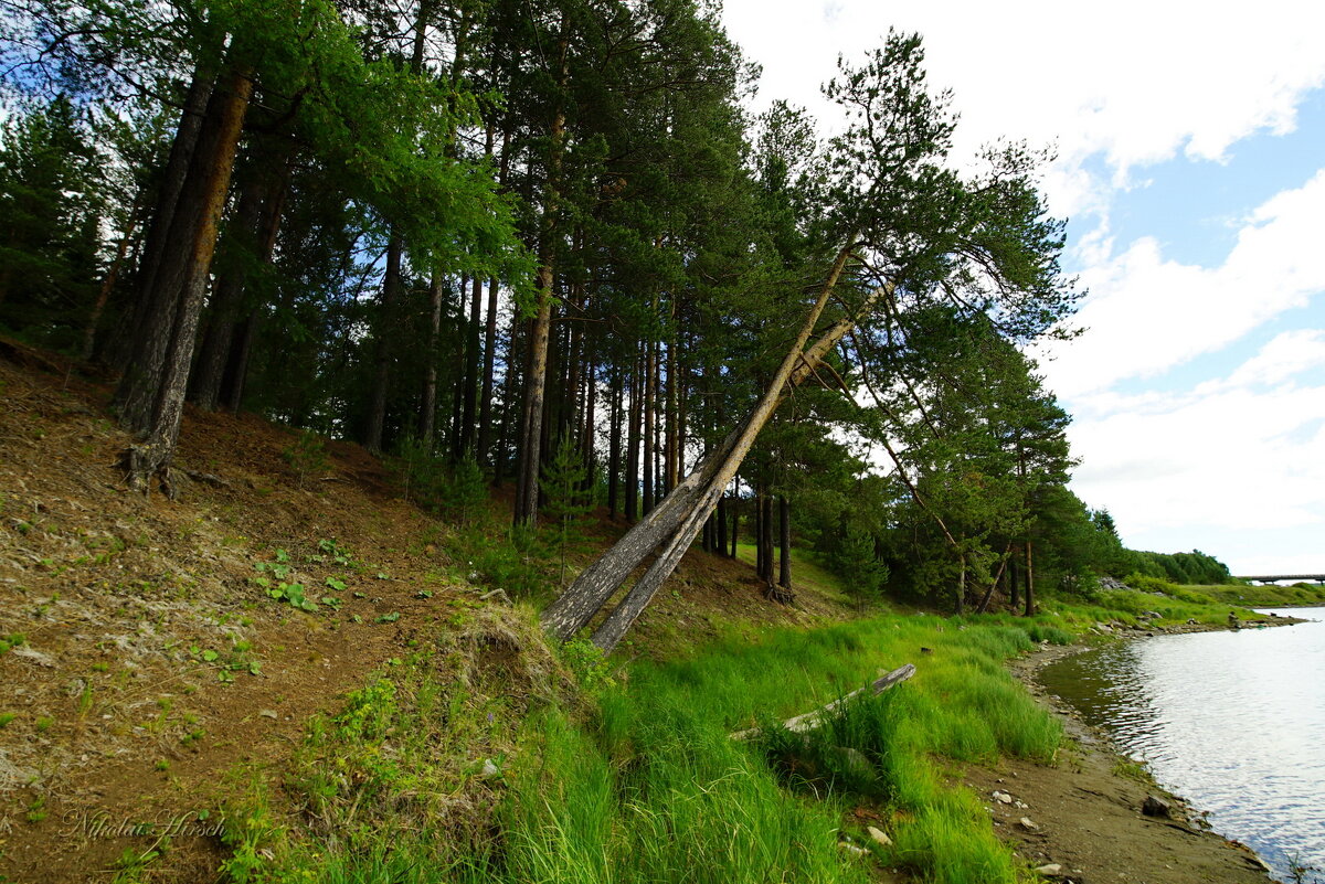 Держись... - Николай Гирш