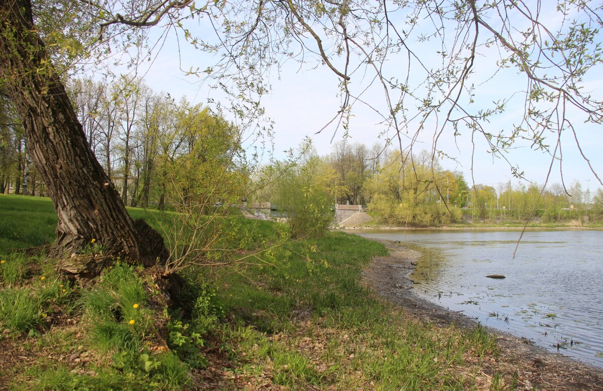 Стрельна. Орловский парк - Наталья Герасимова
