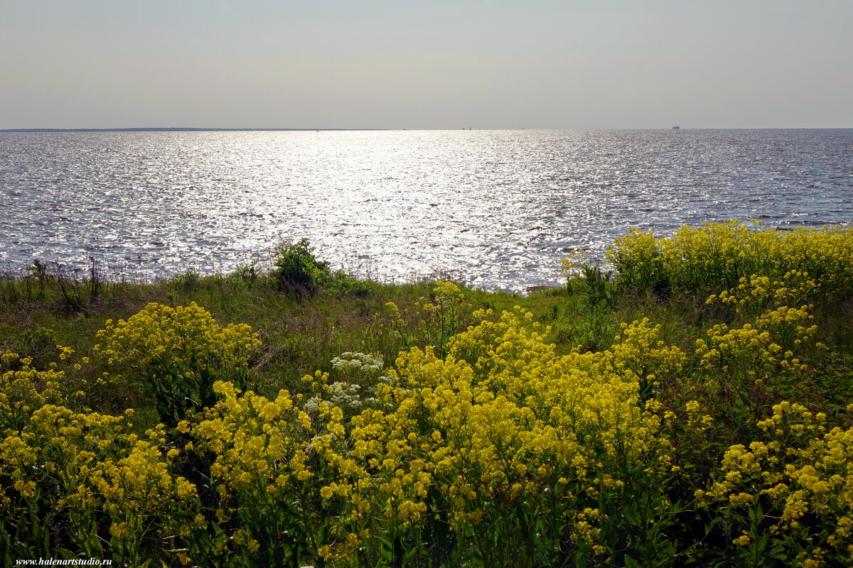 Вечер на форте Риф - Игорь Корф