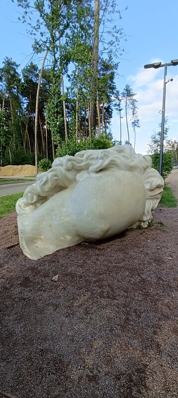 Античная голова» Аристарха Чернышева - Галина R... Античная голова» Аристарха Чернышева - Галина R...