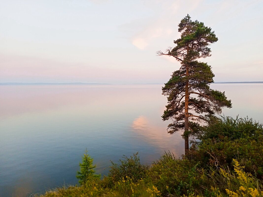 Одинокая... - Ирина *