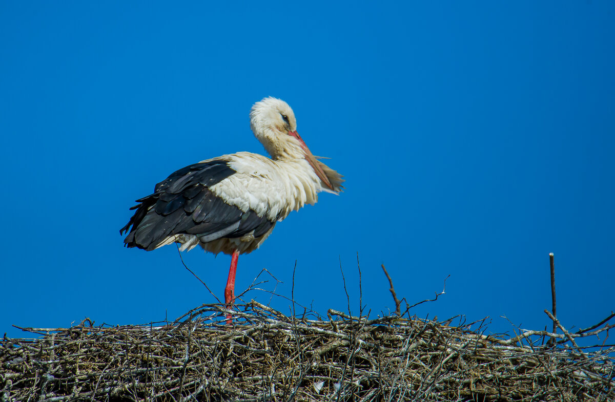 Холодное лето 2025 года. - Sergey (Apg) Холодное лето 2025 года. - Sergey (Apg)