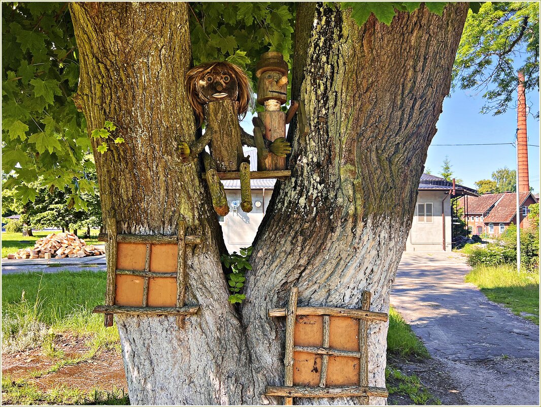 Обитатели дворика. - Валерия Комова